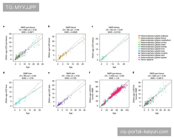 “学术研究：某大学发布报告，分析草皮干湿程度对定位球传球速度的影响”